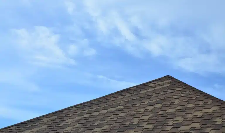 Atlanta Roof