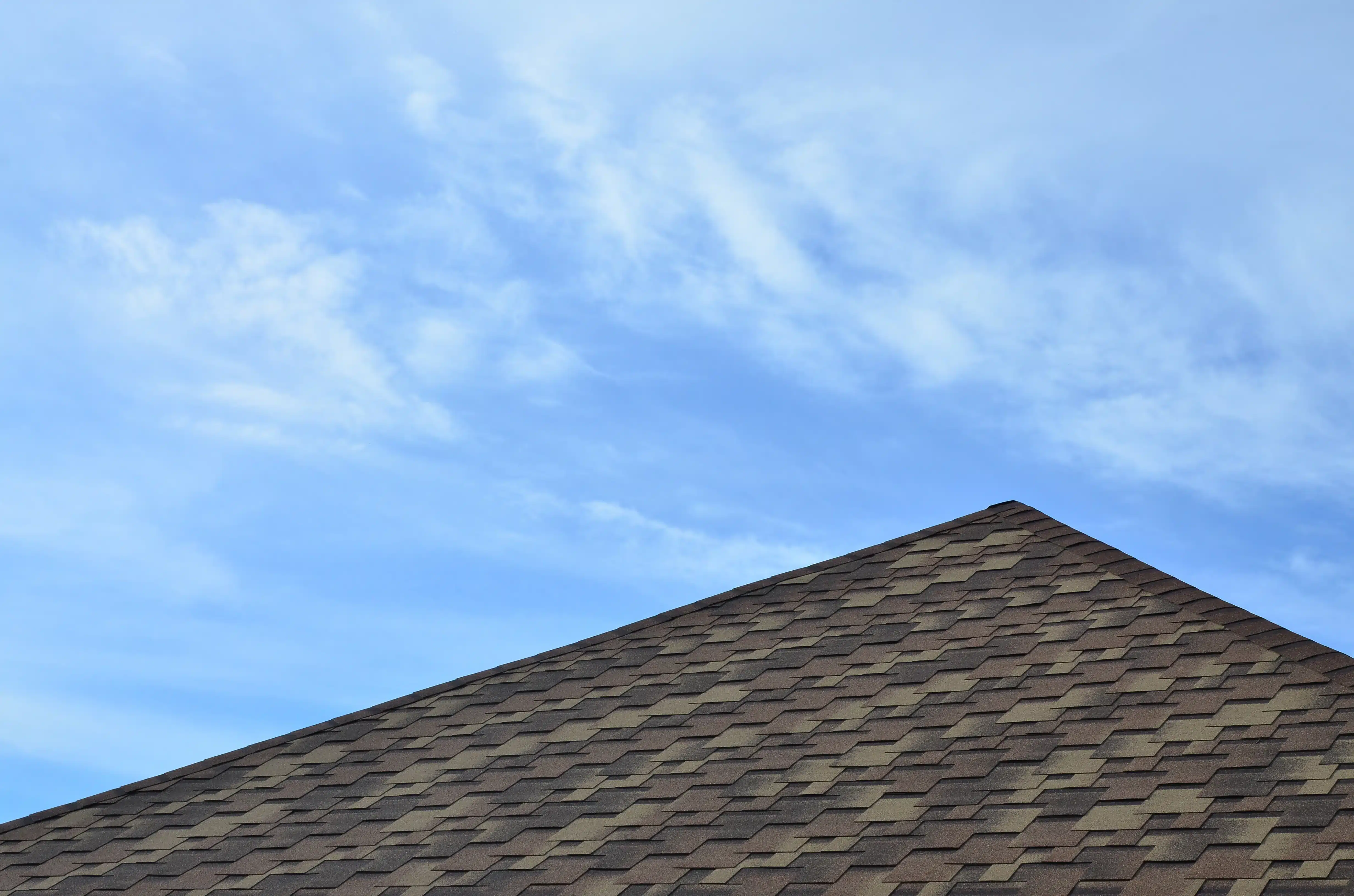 Atlanta Roof
