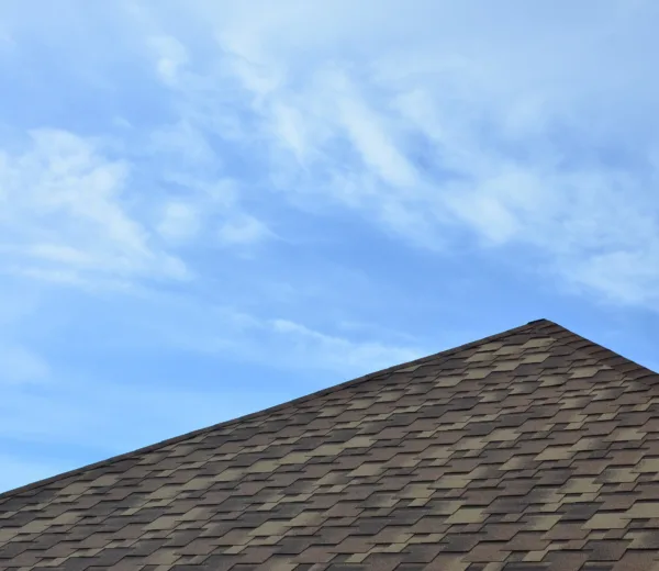 Atlanta Roof